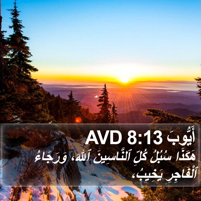 أَيُّوبَ 8:13 AVD Bible Study
