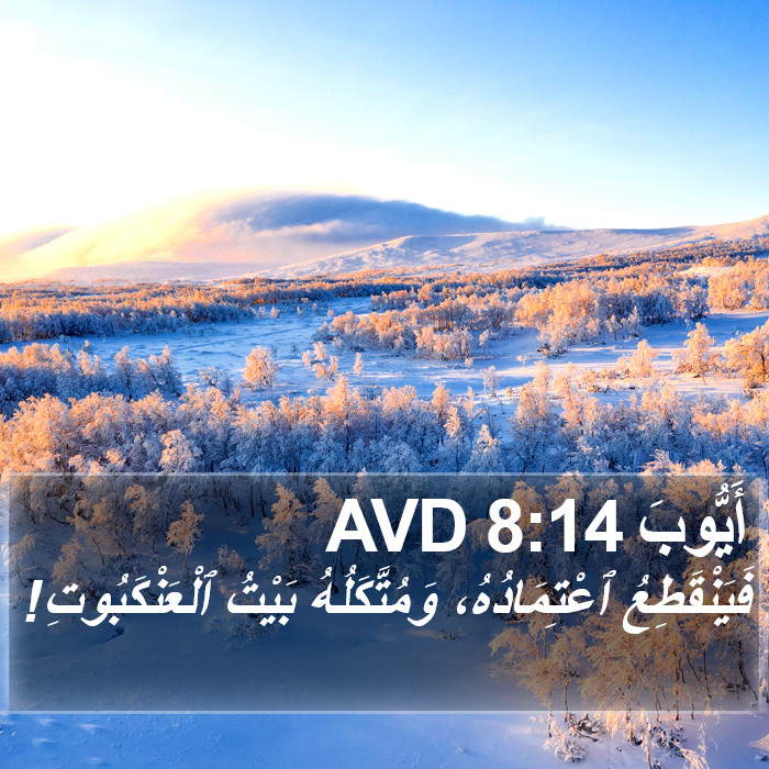 أَيُّوبَ 8:14 AVD Bible Study