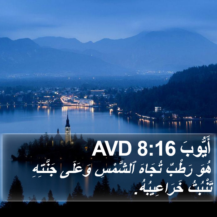 أَيُّوبَ 8:16 AVD Bible Study