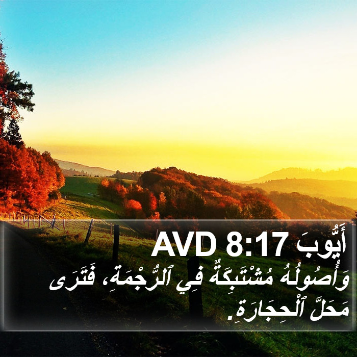 أَيُّوبَ 8:17 AVD Bible Study