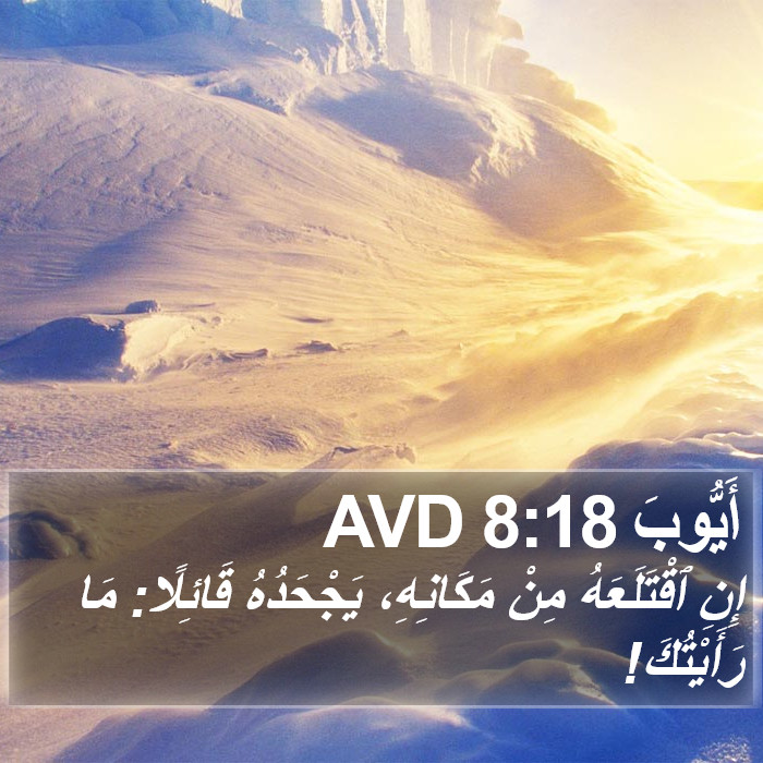 أَيُّوبَ 8:18 AVD Bible Study