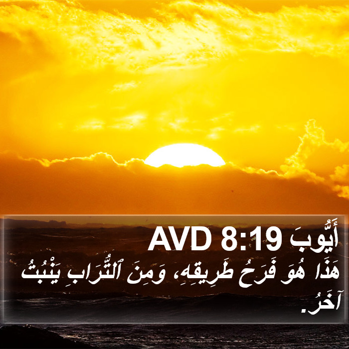 أَيُّوبَ 8:19 AVD Bible Study