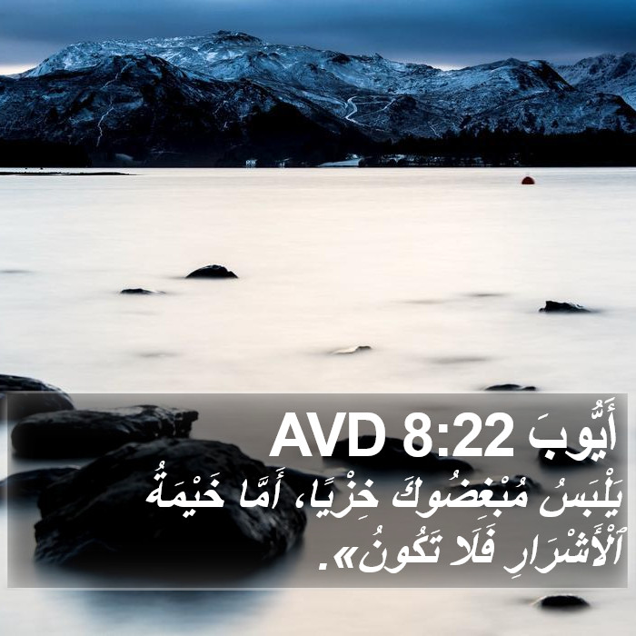أَيُّوبَ 8:22 AVD Bible Study