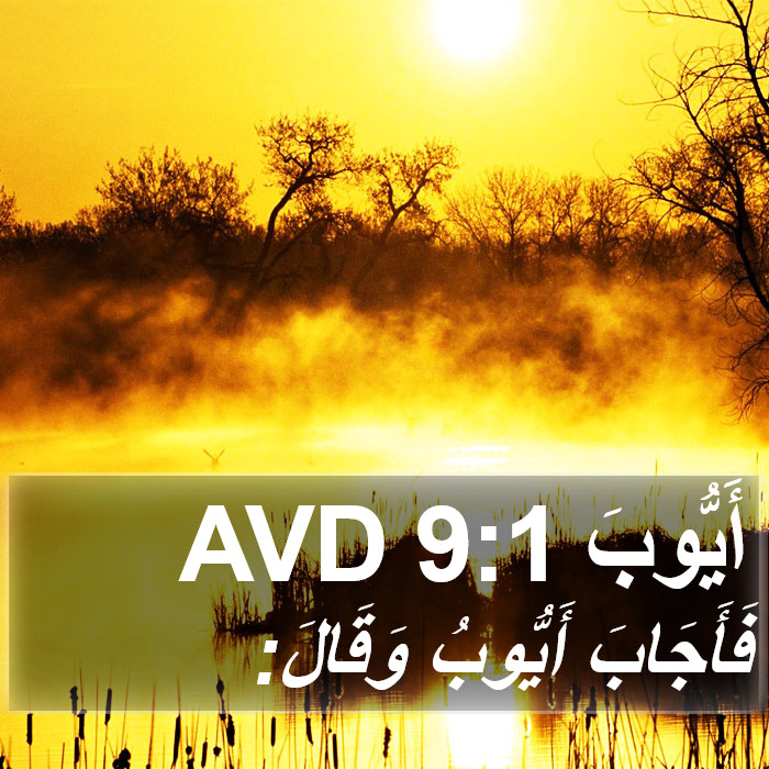 أَيُّوبَ 9:1 AVD Bible Study