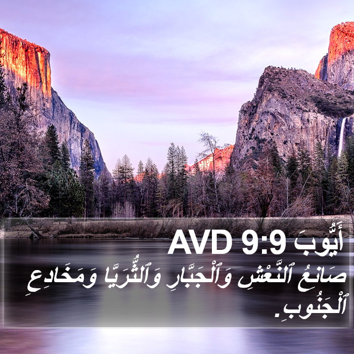 أَيُّوبَ 9:9 AVD Bible Study