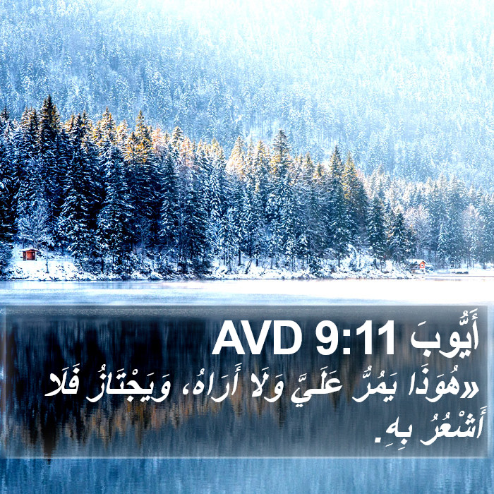 أَيُّوبَ 9:11 AVD Bible Study
