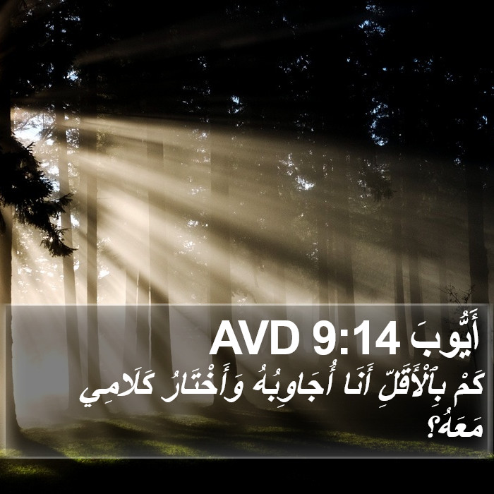 أَيُّوبَ 9:14 AVD Bible Study