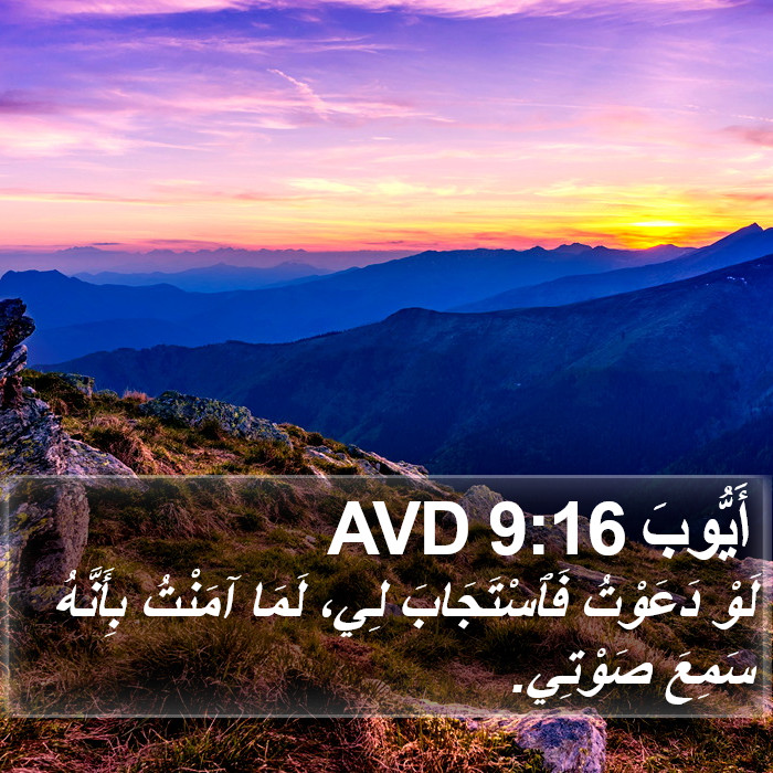 أَيُّوبَ 9:16 AVD Bible Study