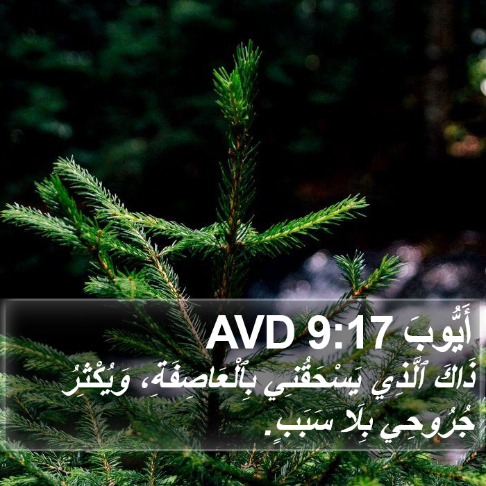 أَيُّوبَ 9:17 AVD Bible Study