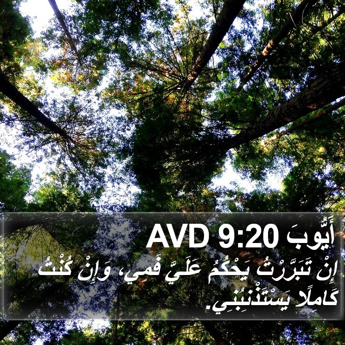 أَيُّوبَ 9:20 AVD Bible Study