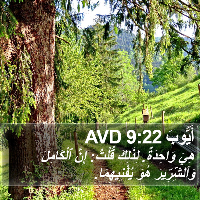 أَيُّوبَ 9:22 AVD Bible Study
