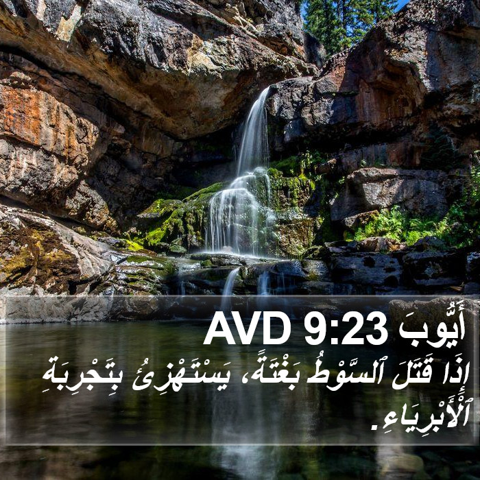 أَيُّوبَ 9:23 AVD Bible Study