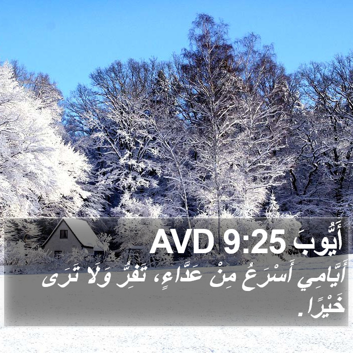 أَيُّوبَ 9:25 AVD Bible Study