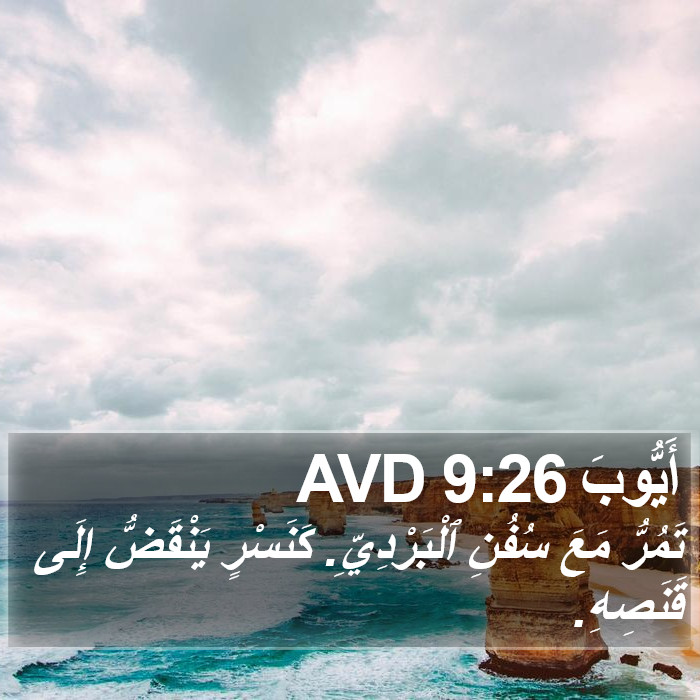 أَيُّوبَ 9:26 AVD Bible Study