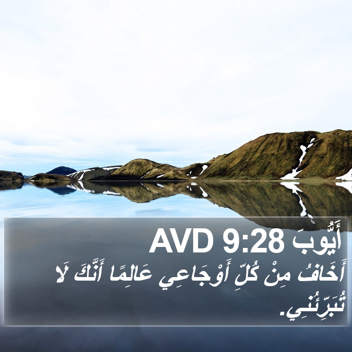 أَيُّوبَ 9:28 AVD Bible Study