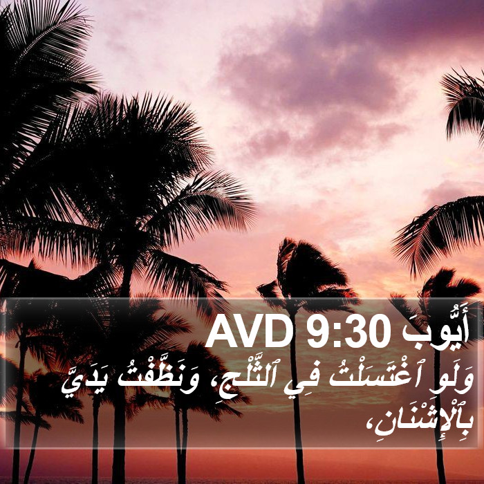 أَيُّوبَ 9:30 AVD Bible Study