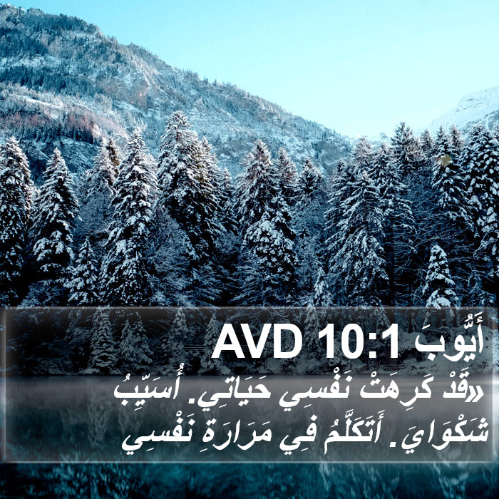 أَيُّوبَ 10:1 AVD Bible Study