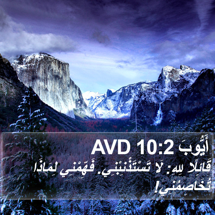 أَيُّوبَ 10:2 AVD Bible Study