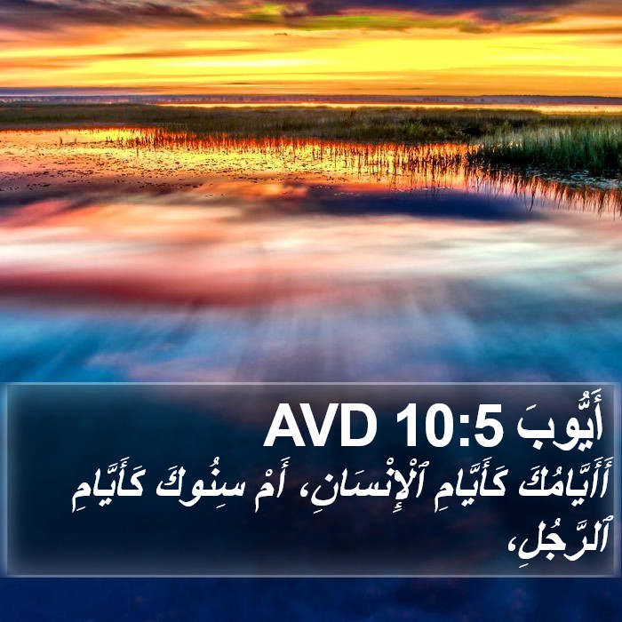 أَيُّوبَ 10:5 AVD Bible Study