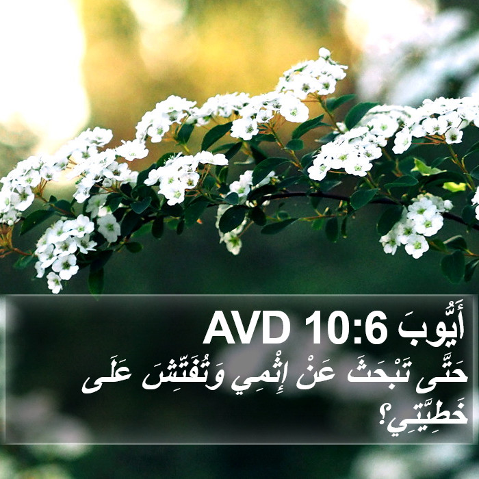 أَيُّوبَ 10:6 AVD Bible Study