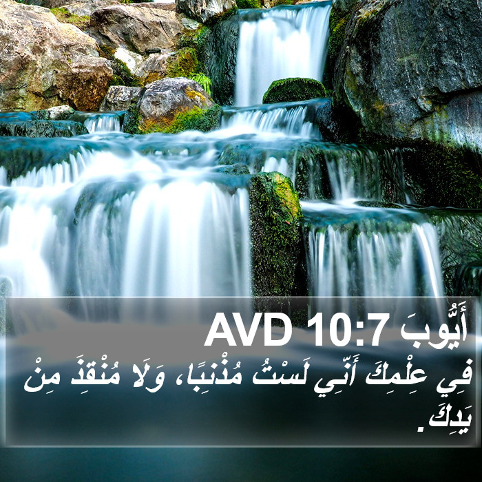 أَيُّوبَ 10:7 AVD Bible Study