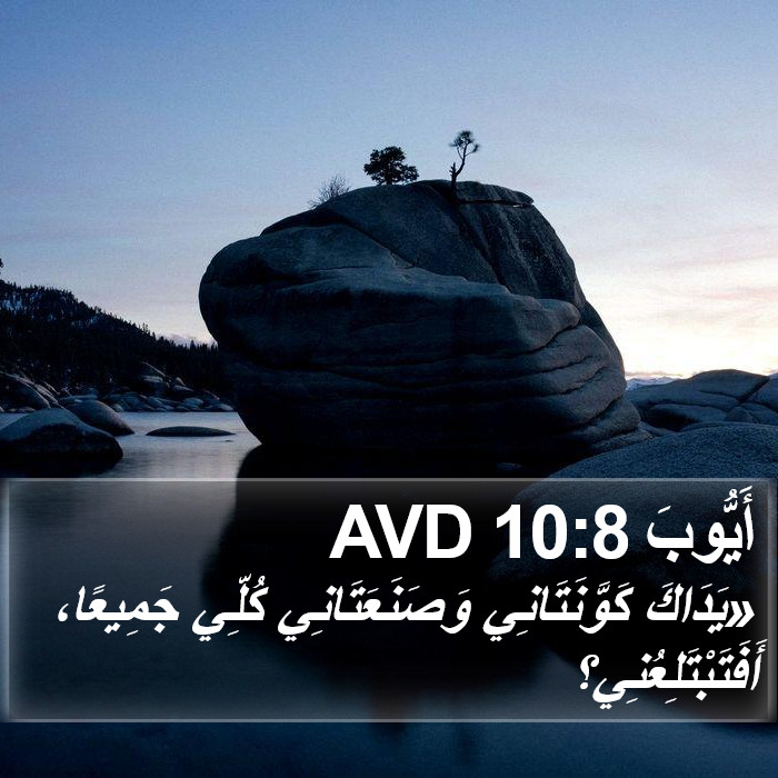 أَيُّوبَ 10:8 AVD Bible Study