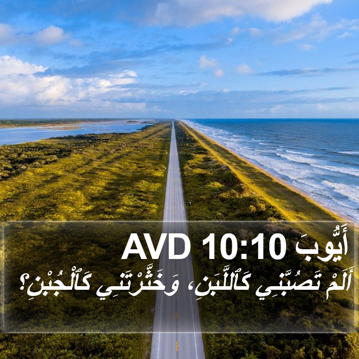 أَيُّوبَ 10:10 AVD Bible Study