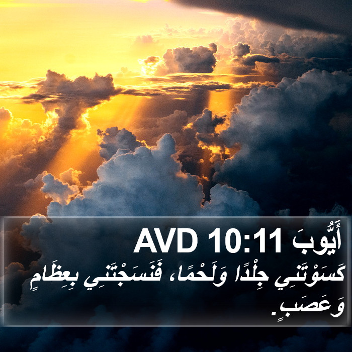 أَيُّوبَ 10:11 AVD Bible Study