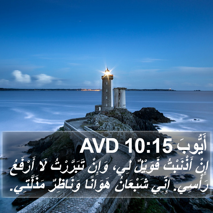 أَيُّوبَ 10:15 AVD Bible Study