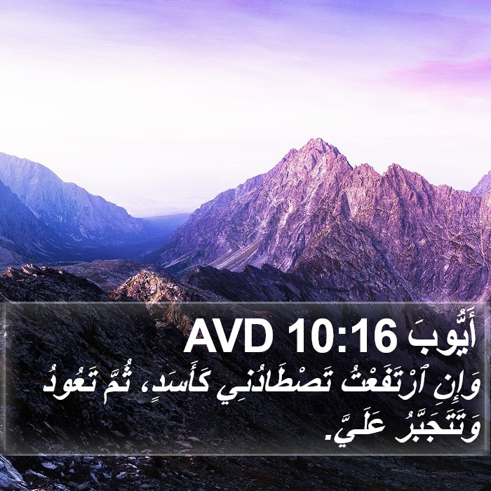 أَيُّوبَ 10:16 AVD Bible Study