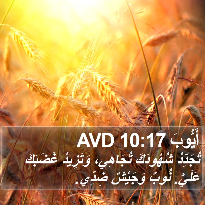 أَيُّوبَ 10:17 AVD Bible Study