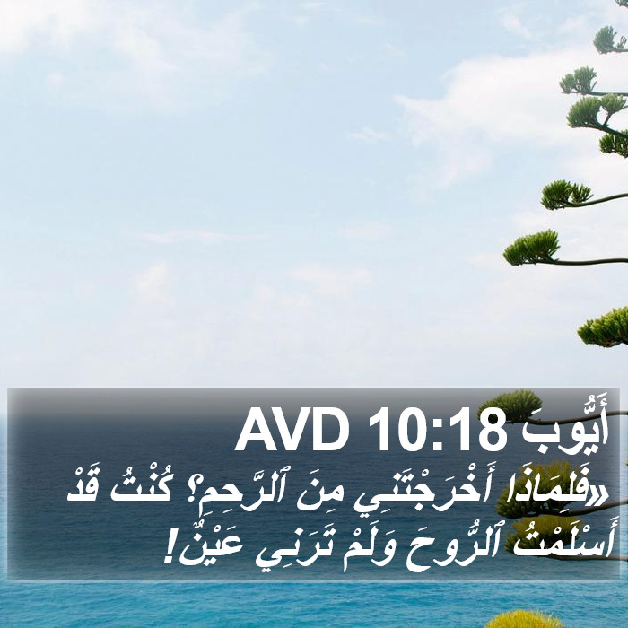 أَيُّوبَ 10:18 AVD Bible Study