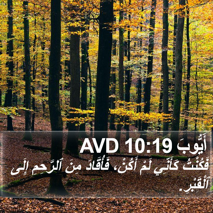 أَيُّوبَ 10:19 AVD Bible Study