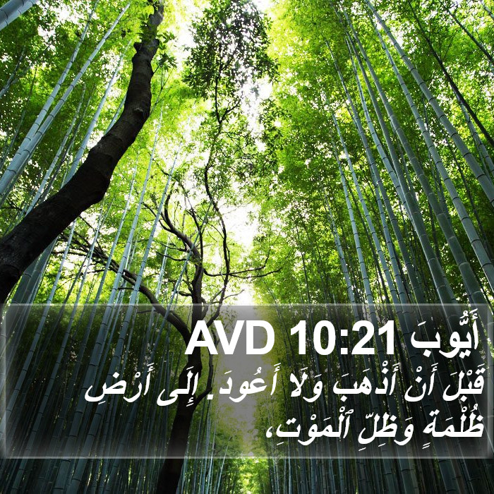 أَيُّوبَ 10:21 AVD Bible Study