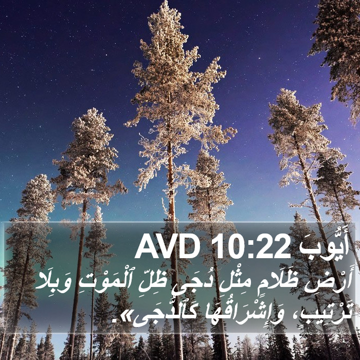 أَيُّوبَ 10:22 AVD Bible Study