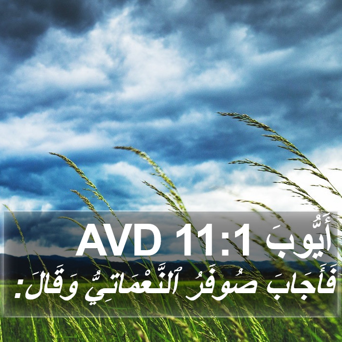 أَيُّوبَ 11:1 AVD Bible Study