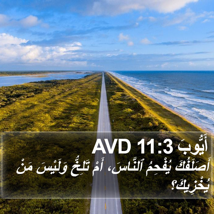 أَيُّوبَ 11:3 AVD Bible Study