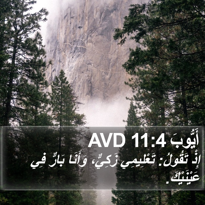 أَيُّوبَ 11:4 AVD Bible Study