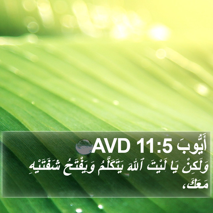 أَيُّوبَ 11:5 AVD Bible Study