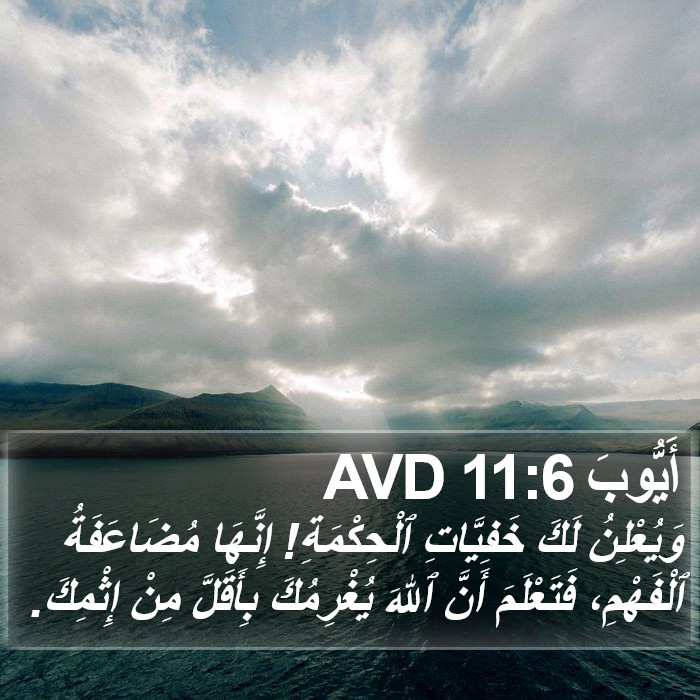 أَيُّوبَ 11:6 AVD Bible Study