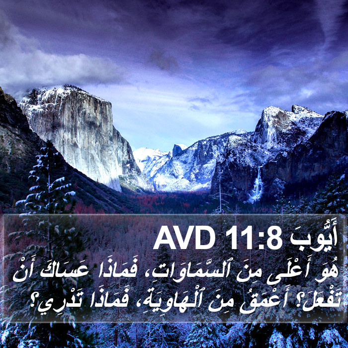 أَيُّوبَ 11:8 AVD Bible Study