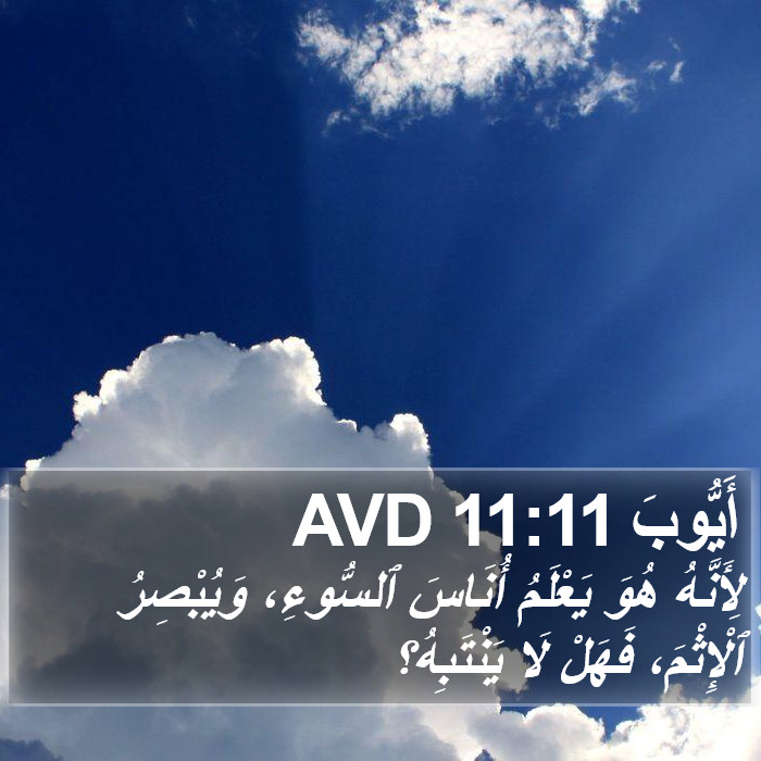 أَيُّوبَ 11:11 AVD Bible Study