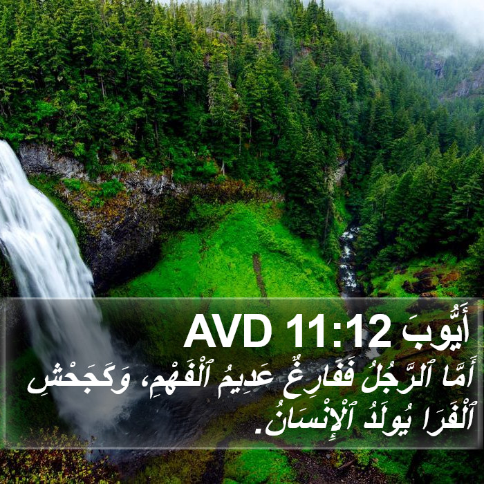 أَيُّوبَ 11:12 AVD Bible Study