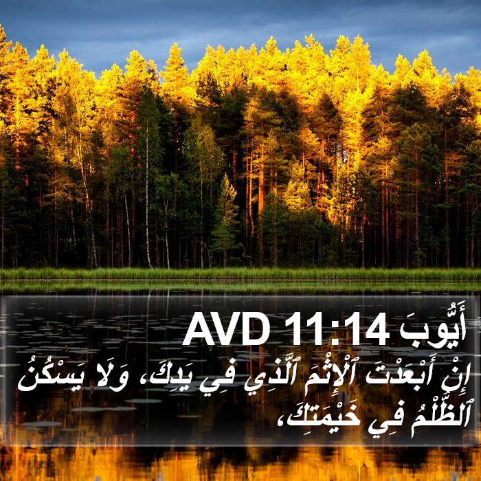 أَيُّوبَ 11:14 AVD Bible Study