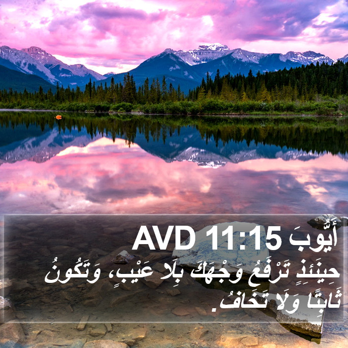 أَيُّوبَ 11:15 AVD Bible Study