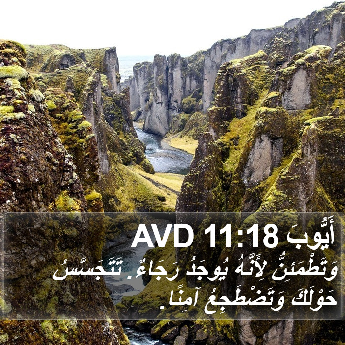 أَيُّوبَ 11:18 AVD Bible Study