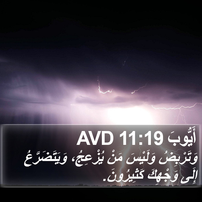 أَيُّوبَ 11:19 AVD Bible Study