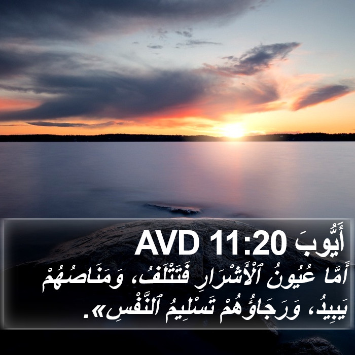 أَيُّوبَ 11:20 AVD Bible Study