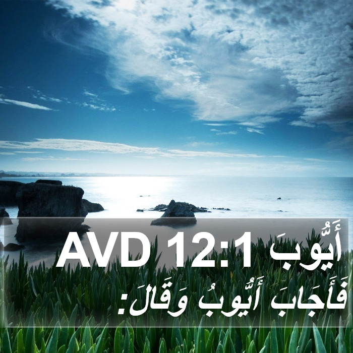 أَيُّوبَ 12:1 AVD Bible Study