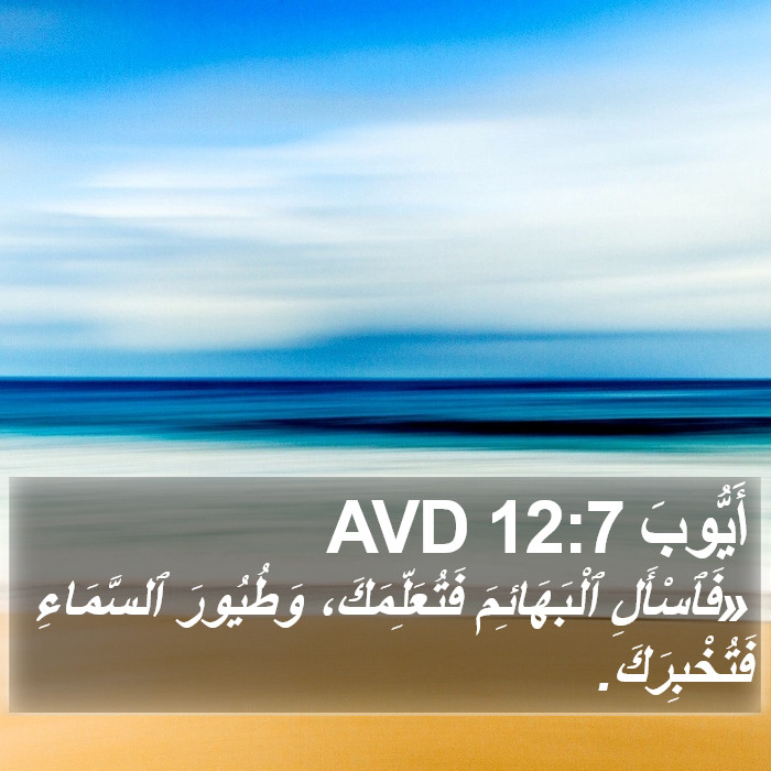 أَيُّوبَ 12:7 AVD Bible Study